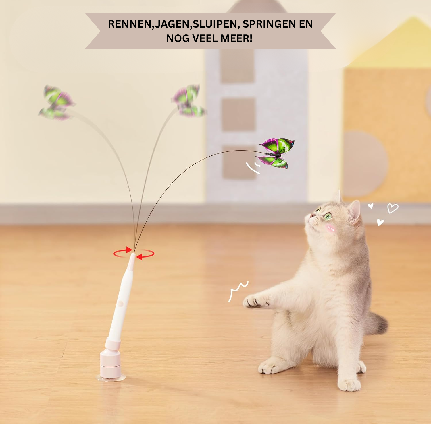 ButterFlick | Komt een kat weer tot beweging