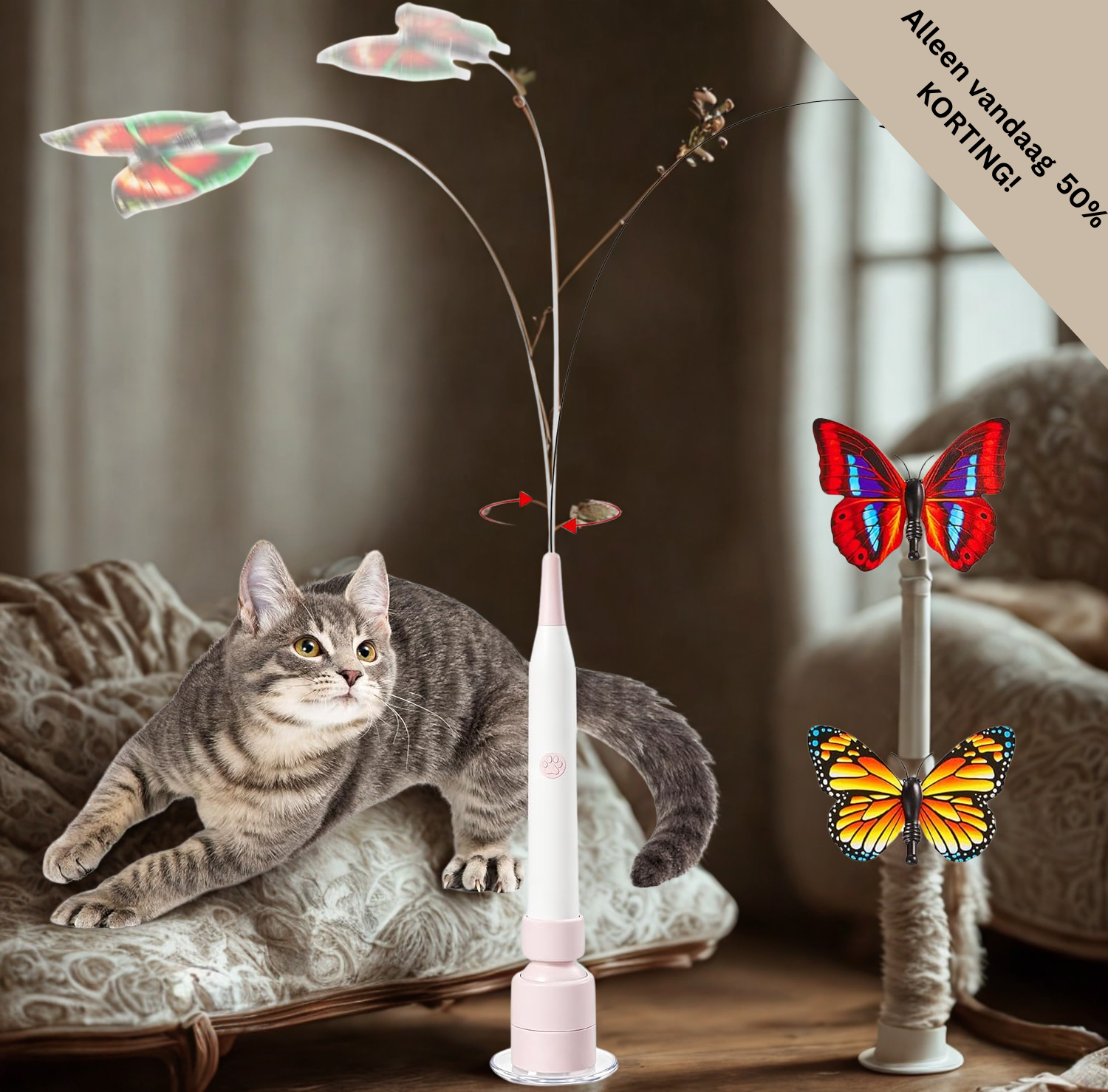 ButterFlick | Komt een kat weer tot beweging