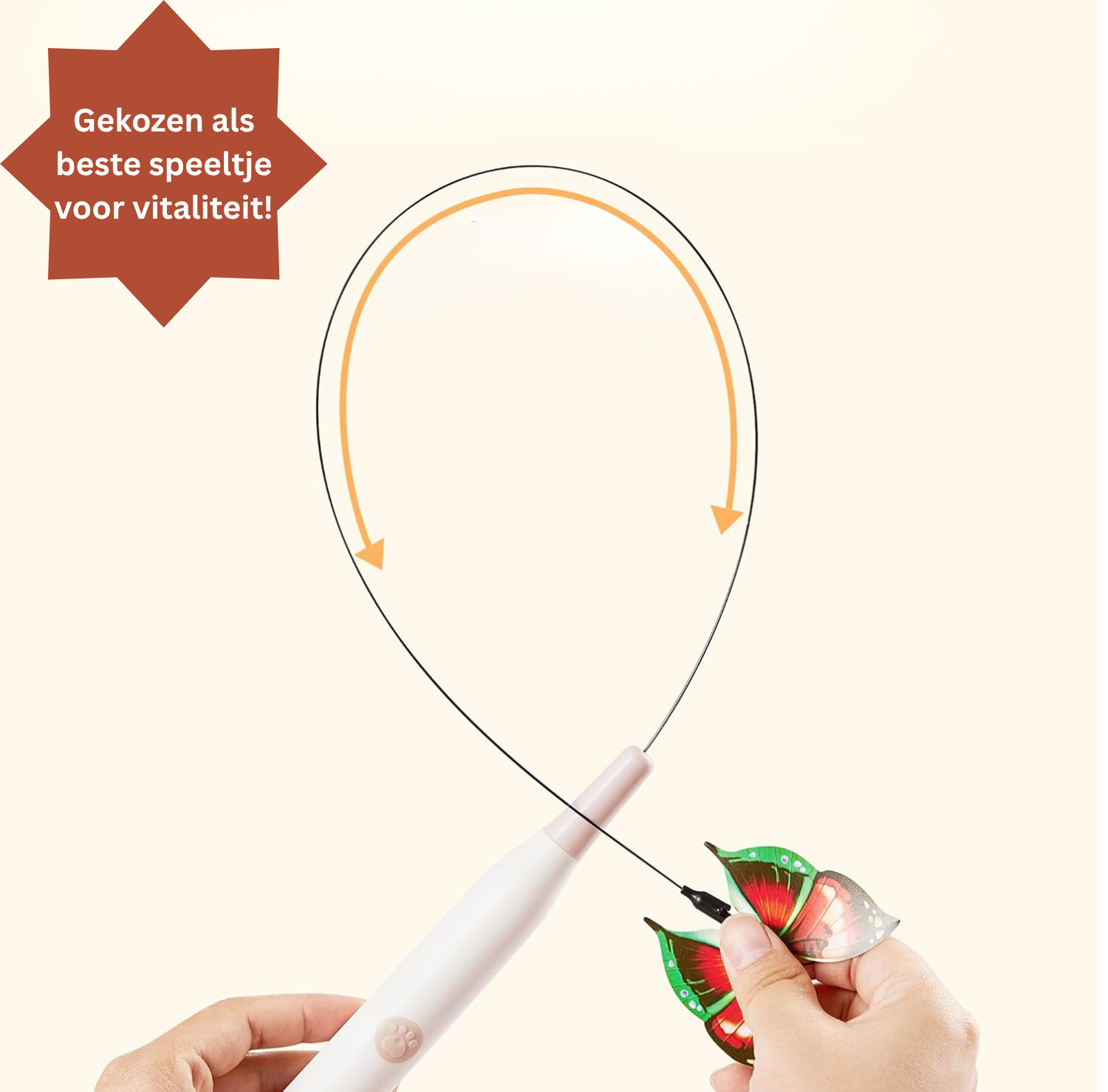 ButterFlick | Komt een kat weer tot beweging